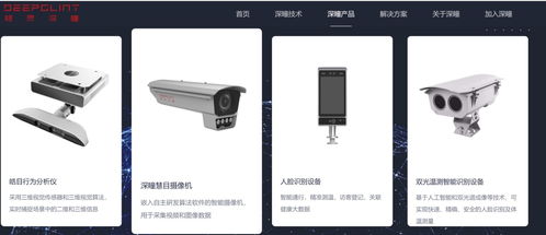 徐小平与沈南鹏的AI梦，悄悄照进A股网络技术服务